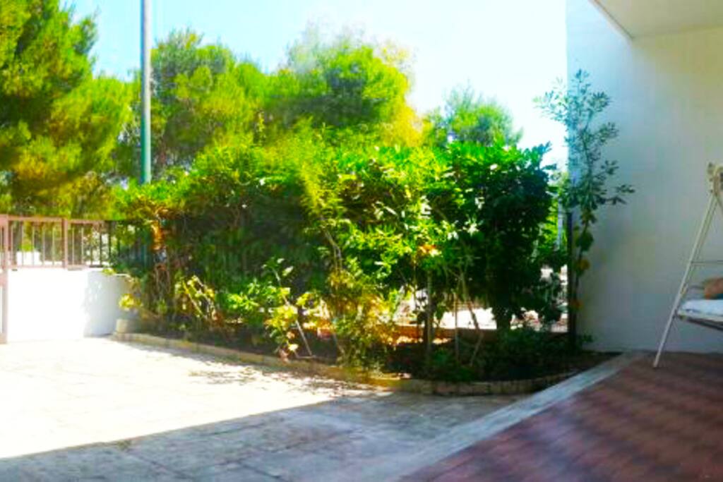 Giardino davanti con posto auto