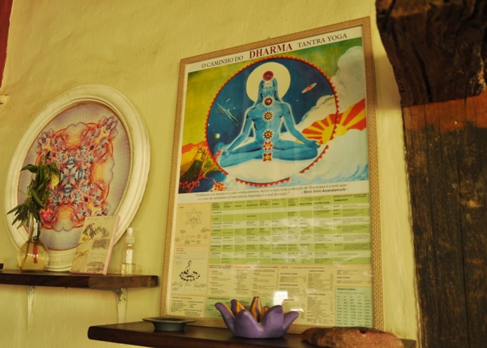 Pratica de yoga são realizadas em dias variados