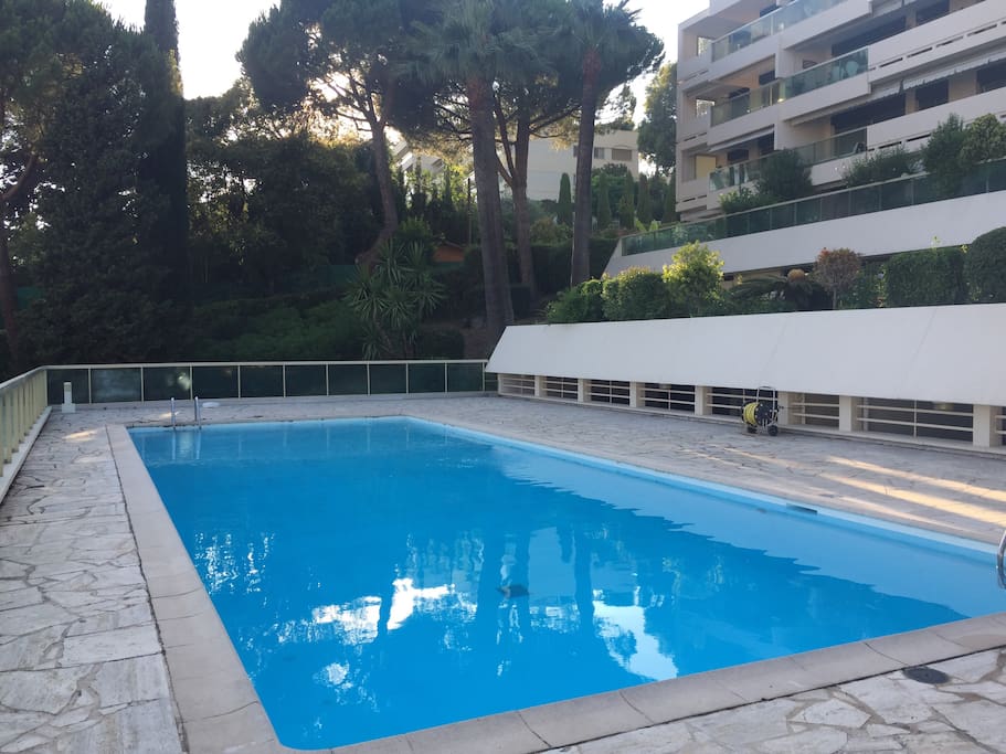 Grande piscine de 20m
