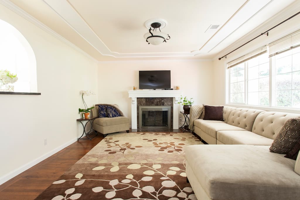 Wood burning fireplace