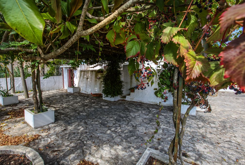 patio e pergolato