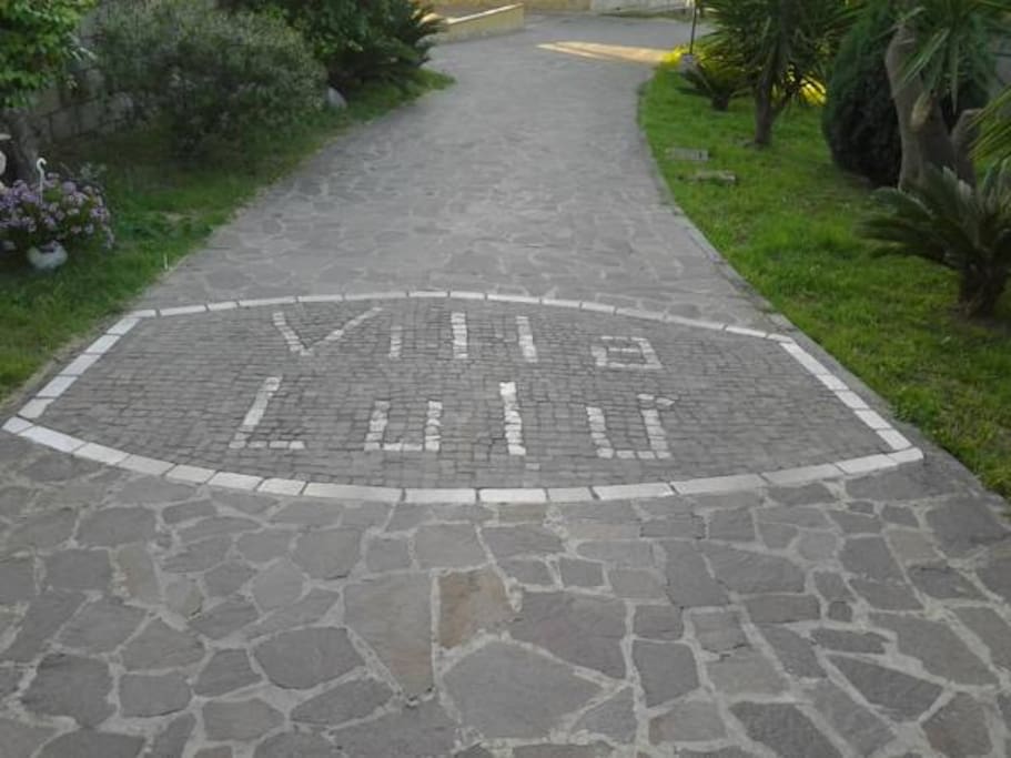 Ingresso