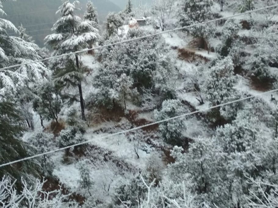 Snow view