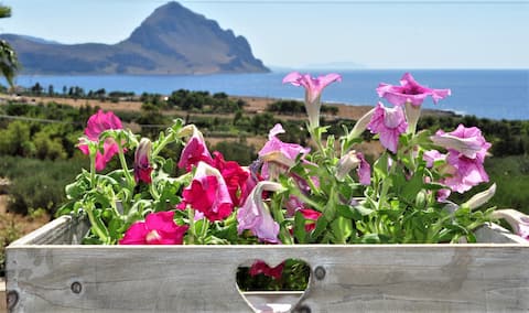 Proprietà Airbnb di successo: Monte Cofano 1 a San Vito Lo Capo