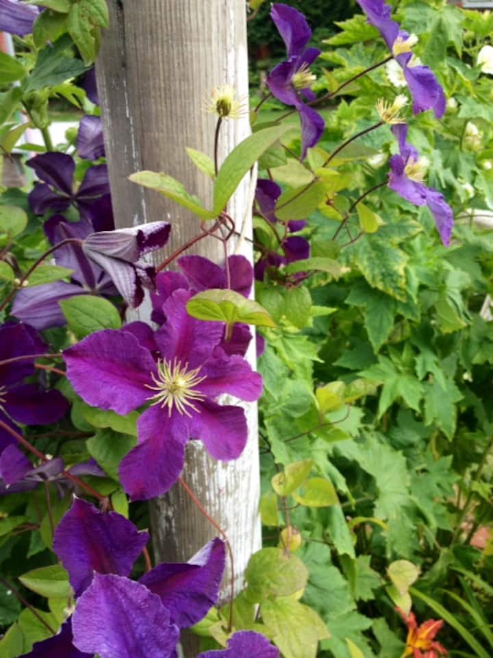 Top 10 Vacation Rentals In Ocean Park, Washington Updated 2024 Trip101