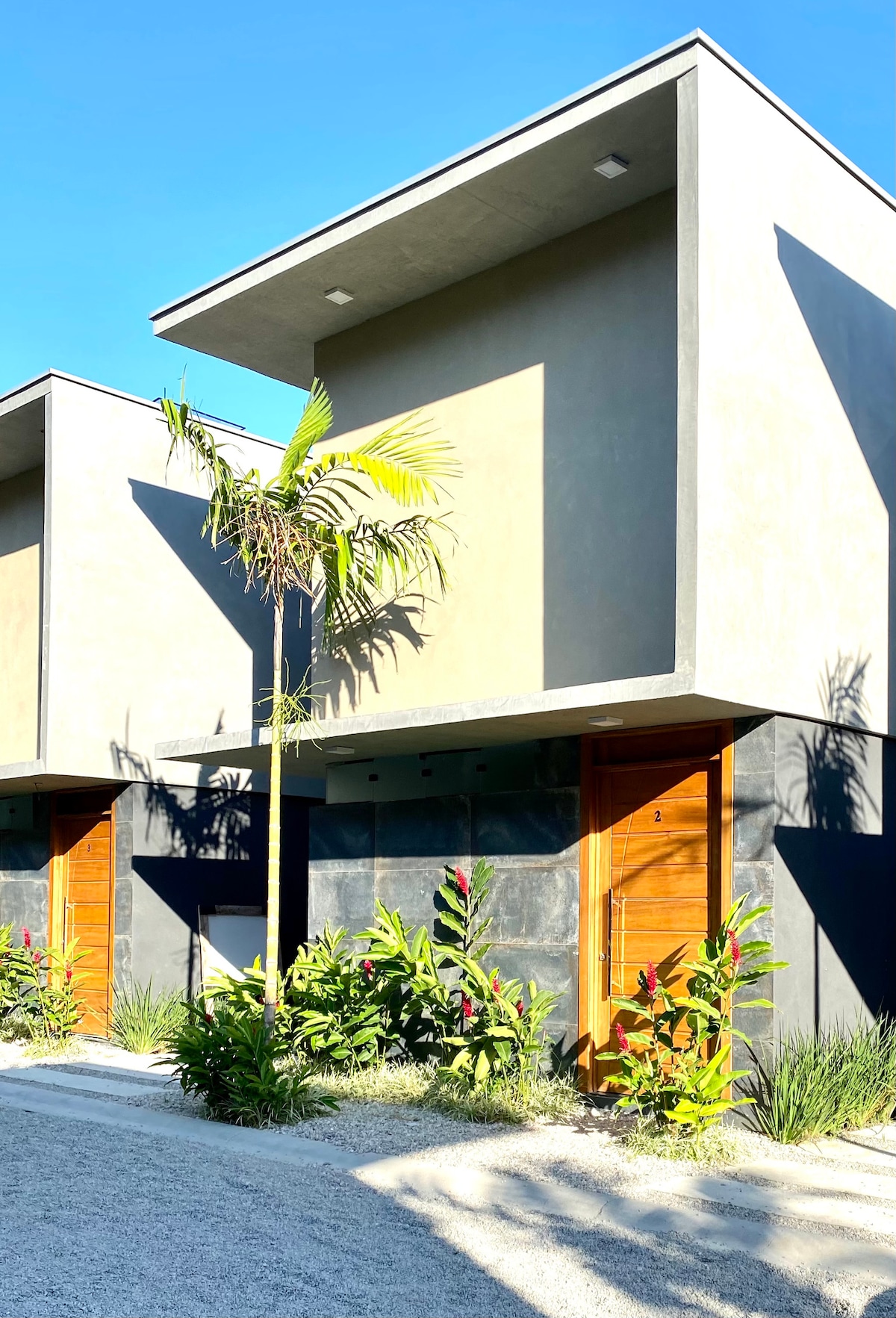 The exterior of a modern building is showcased, featuring two levels and minimalistic design. Bright greenery and tropical plants surround the entrance, with wooden doors providing a warm contrast against the sleek gray facade. Sunlight casts soft shadows on the structure.