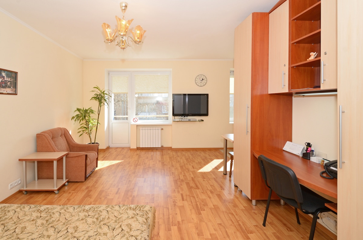 The studio features a light-filled living space with wooden flooring. A comfortable armchair is positioned beside a small side table. A desk with a chair is located near a window, and a television is mounted on the wall. A clock and decorative piece can be seen.