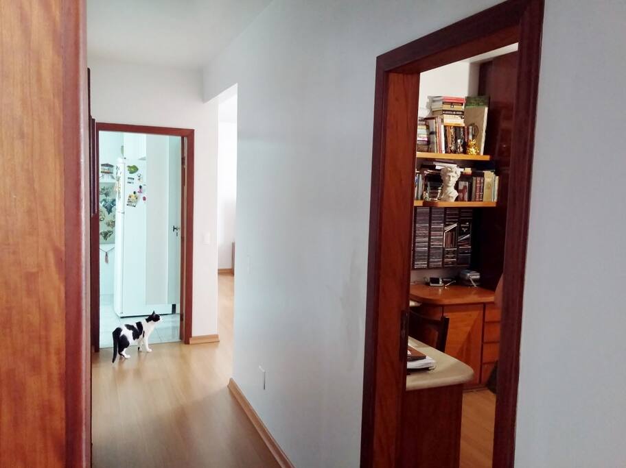 Corredor do quarto para a sala/cozinha. Destaque para meu gatinho Barnabé!