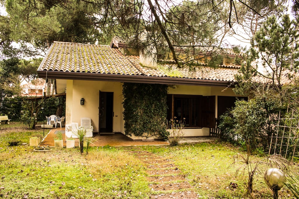 Giardino