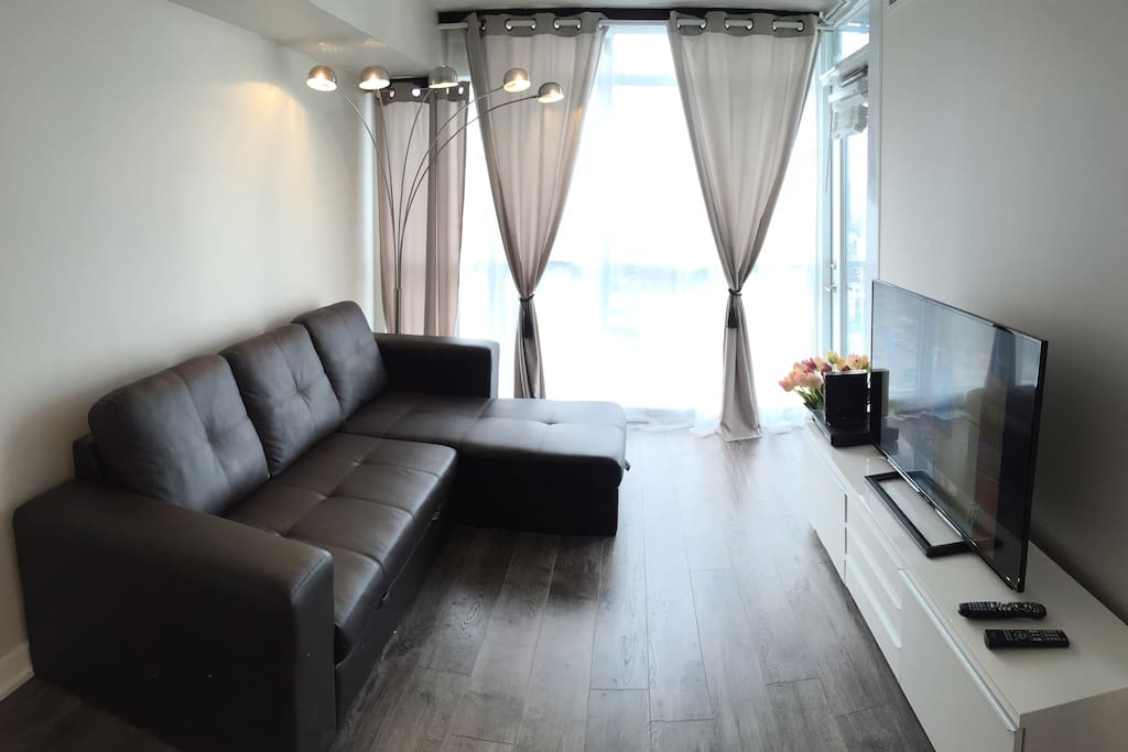 Living room with sofa bed