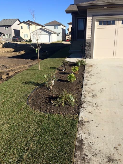 Newly landscaped summer 2016