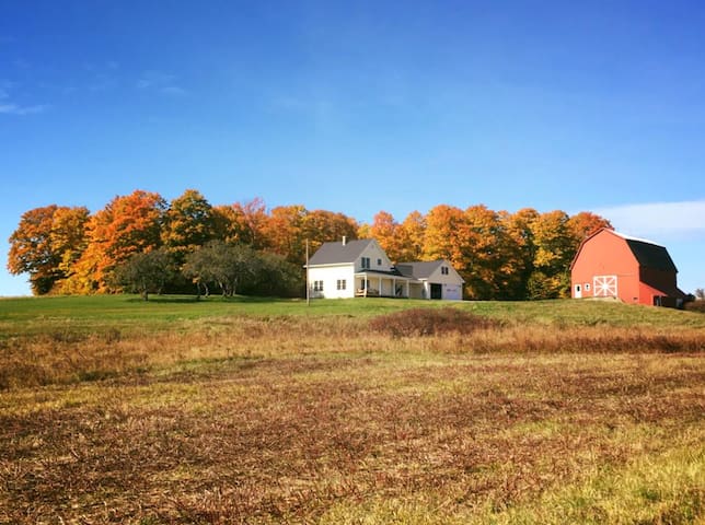 Singles in woodland maine