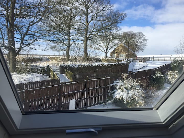View from upstairs window of  surrounding landscape.. the first day of the Beast from the East