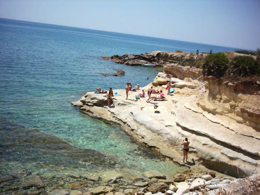 mare