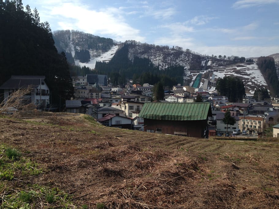 Spring is on - Basecamp Nozawa Onsen