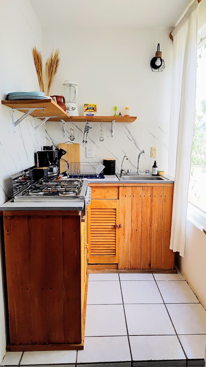 Quiet Apartment With Garden For Remote Workers - Oaxaca