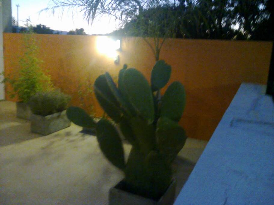 Terraza