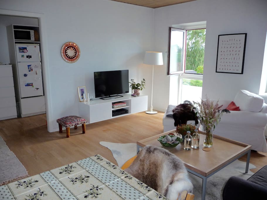 Stue/Livingroom
