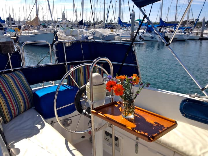 Spacious and Airy B&B on the Water