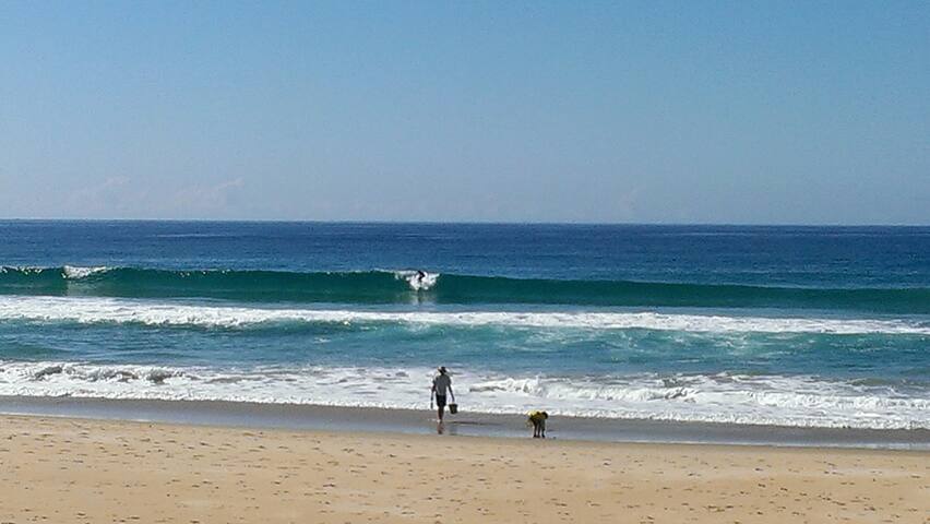 Ultimate beach side abode – Marcoola Beach gallery image 5