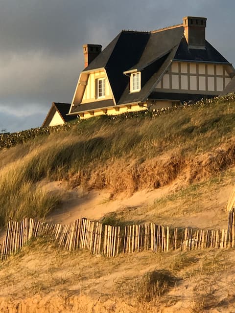 Golden sand on the waterfront