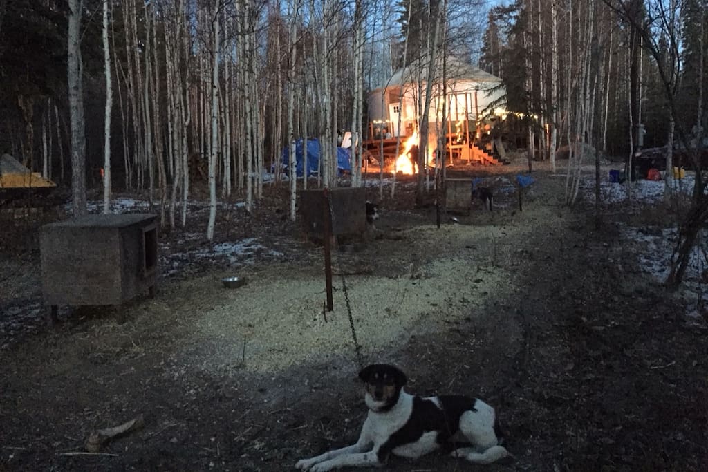 Fall bonfires at the Birch Yurt