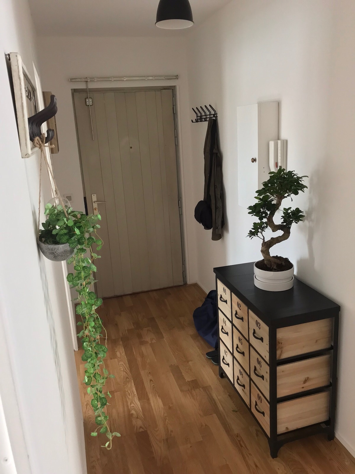 A bright hallway features light wooden flooring and white walls. A closed door is visible at the end, accompanied by a coat rack on the left. A stylish black and wooden storage unit is positioned against the wall, adorned with a small potted plant.