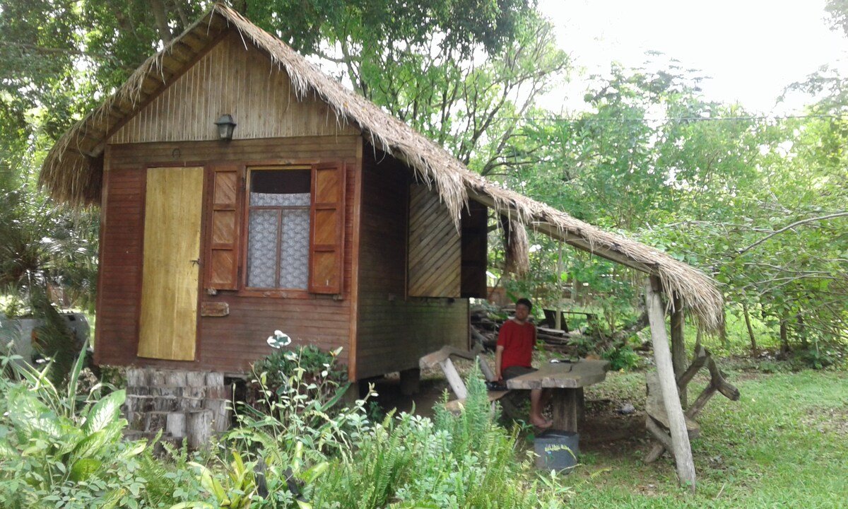 A charming wooden house is nestled among lush greenery. The thatched roof and wooden shutters create a rustic aesthetic. A small porch extends from the front, featuring a rustic table beneath the shade of surrounding trees. Natural elements surround the structure, enhancing the tranquil setting.