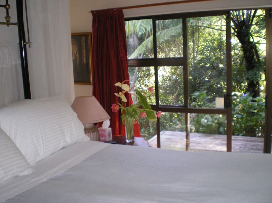View from bedroom