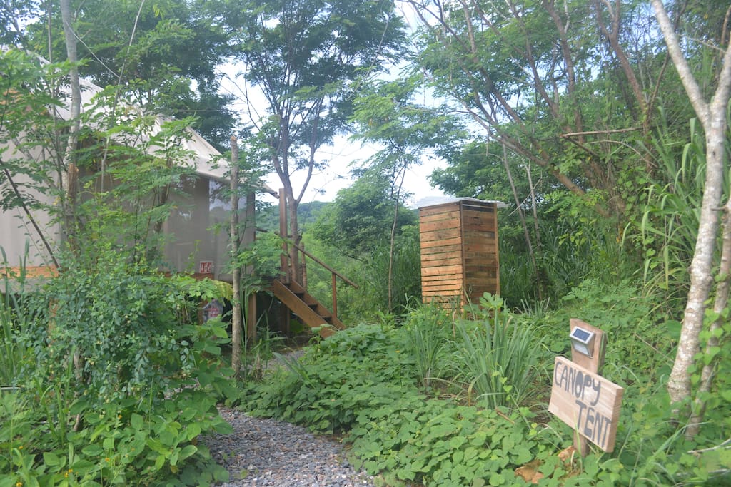 Tent surrounded by nature with outhouse