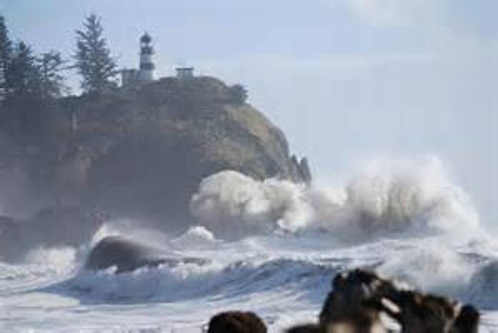 Great places to wave watch