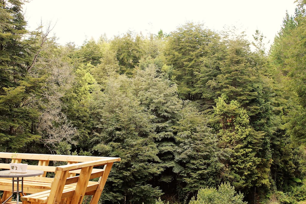 Vista desde la habitación