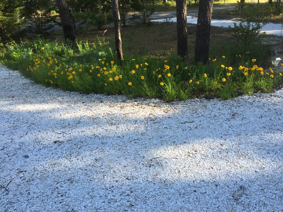 spacious driveway parking area