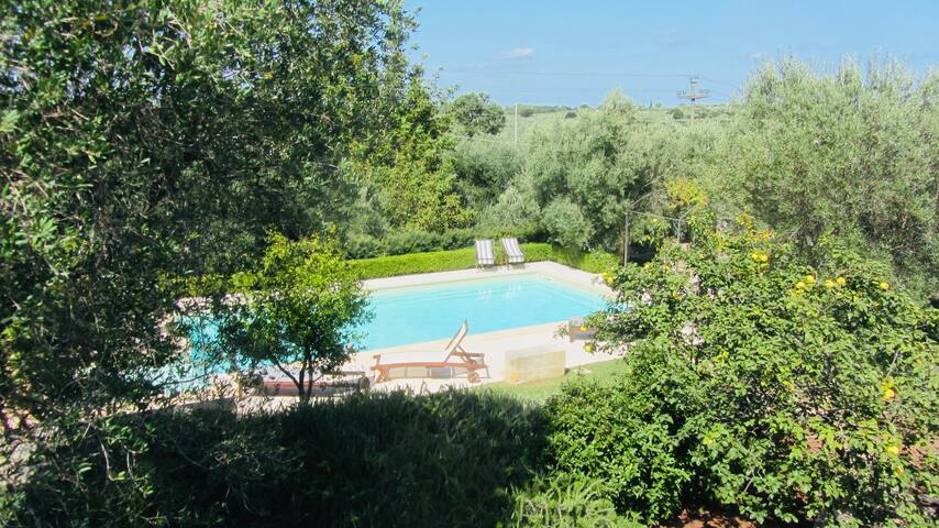 Tre Mondi Piccolo gallery image 2