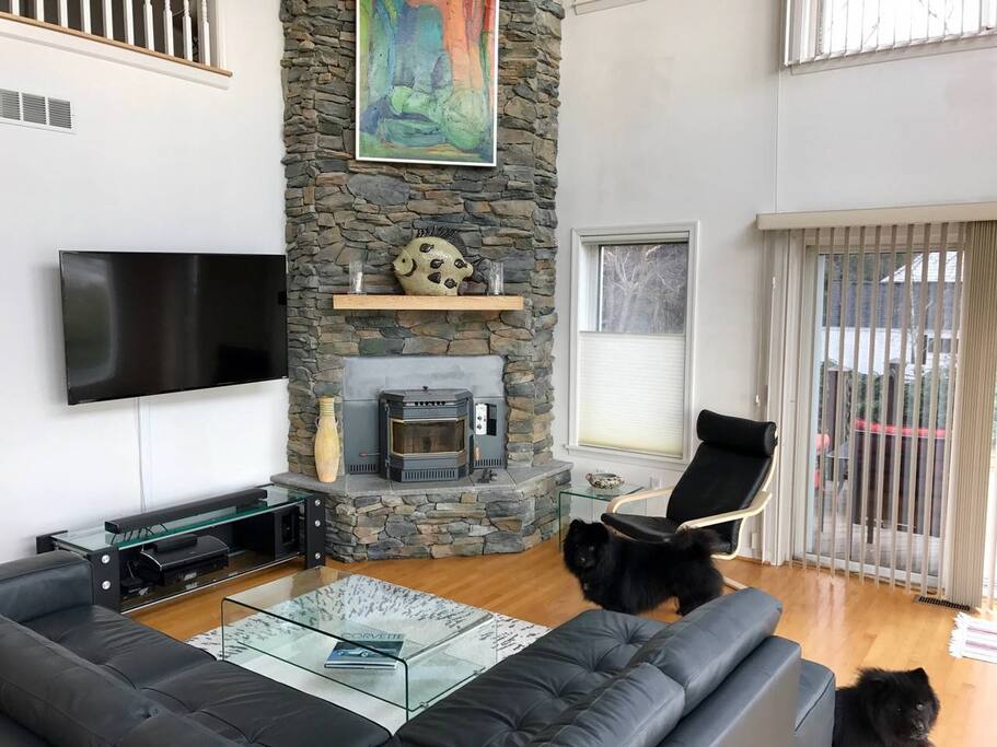 Leather seating with Pellet Stove and Colorado Blue shadow rock chase.