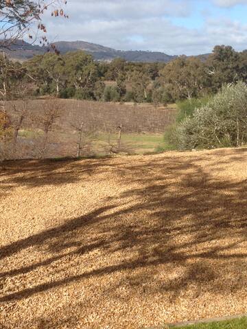 Barossa Idyll -centre of town, breathtaking views gallery image 3