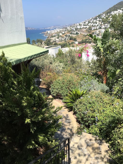 Coming down from stairs to private entrance