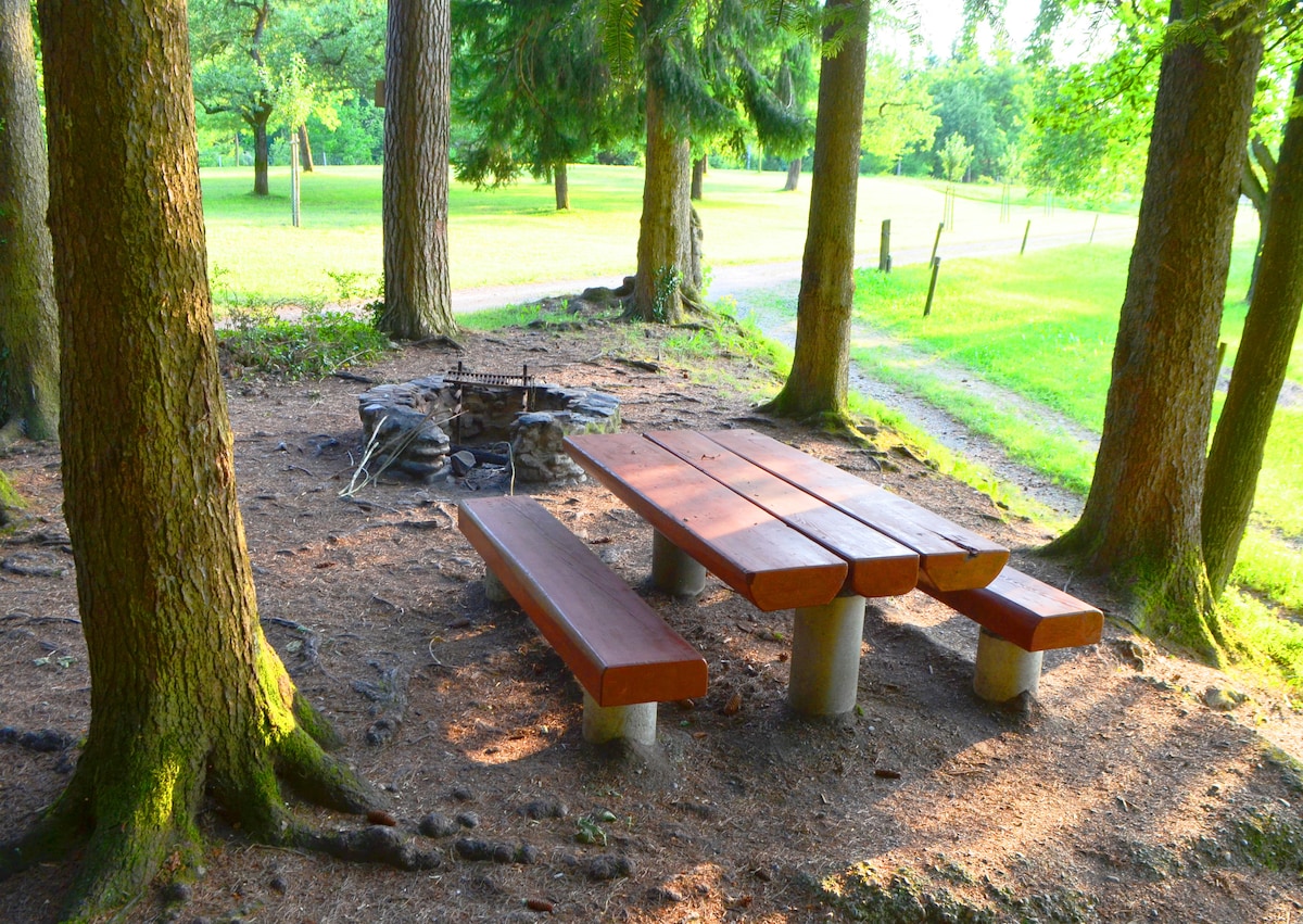 A picnic area is presented with a wooden table and benches set around a stone fire pit amidst tall trees. Soft earth and scattered pine needles create a natural ground cover, while green grass is visible in the background, enhancing the peaceful outdoor setting.