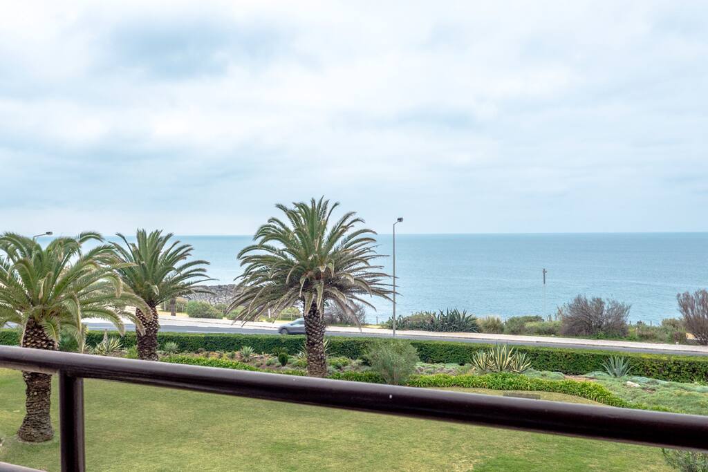 Our fantastic view