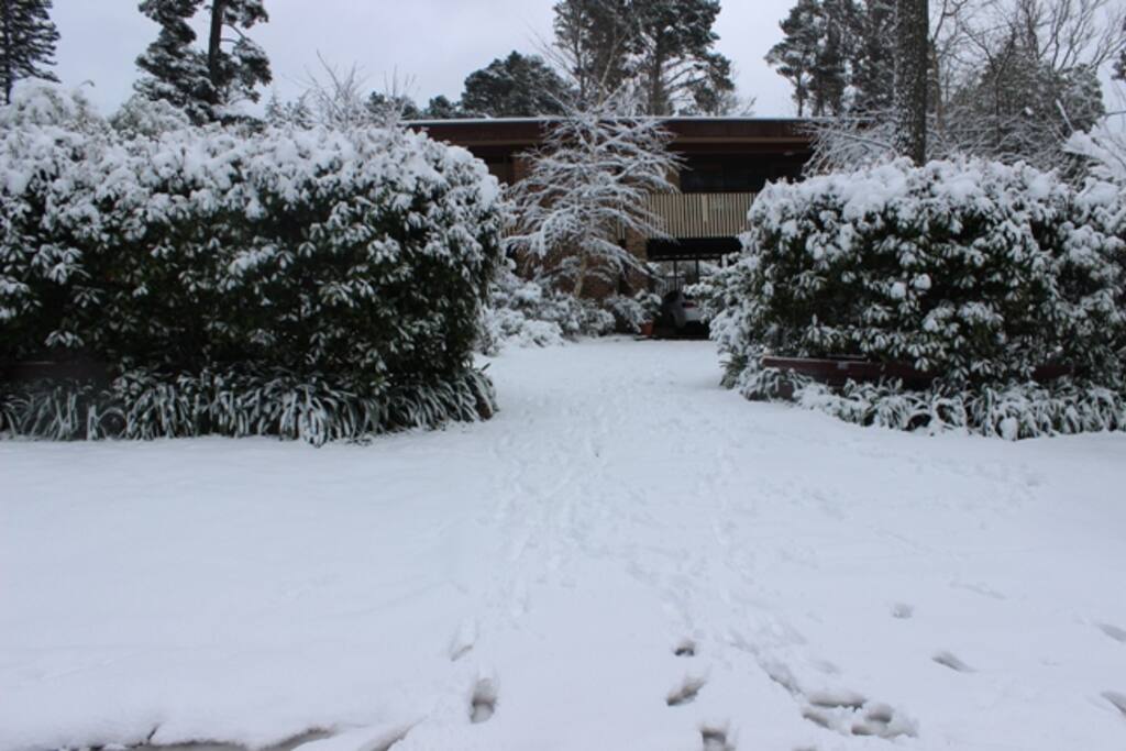 2015 Snowfall Front House