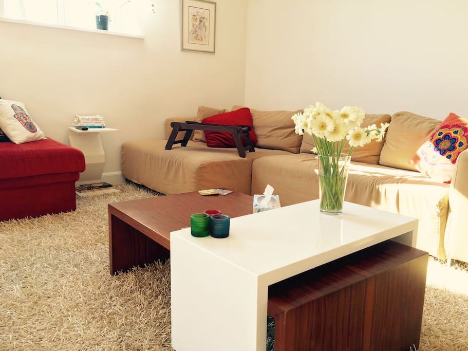 Spacious living room with a flat screen TV, Apple TV & Netflix