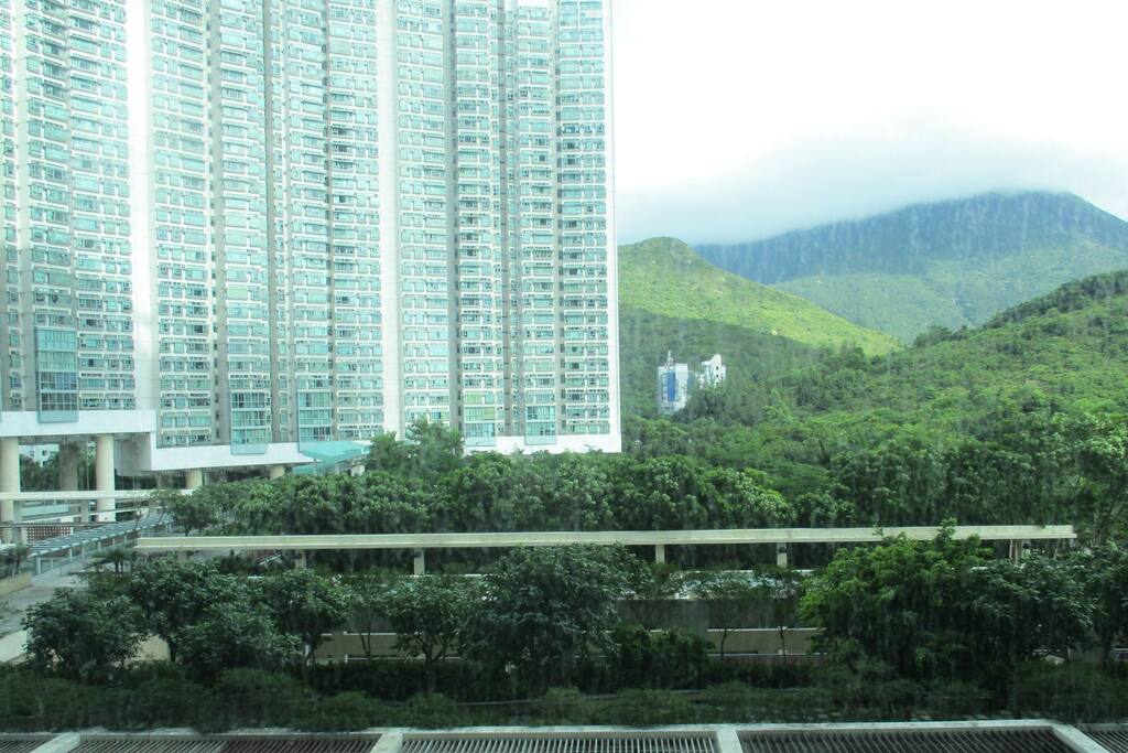 View from Window