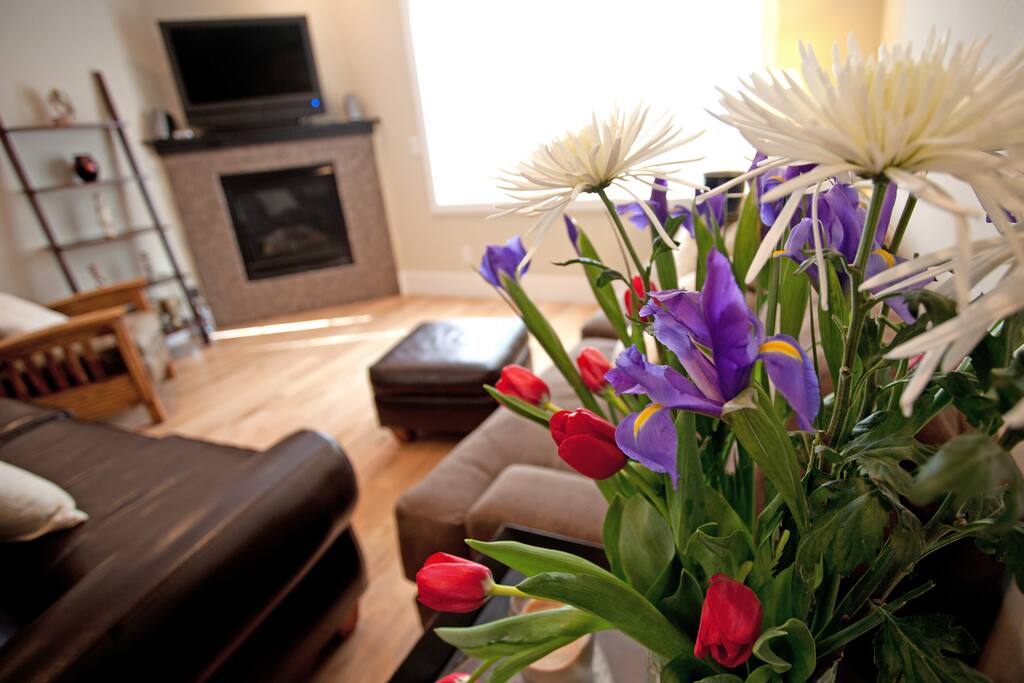 Washington Park Stunning Townhouse Townhouses for Rent in Denver