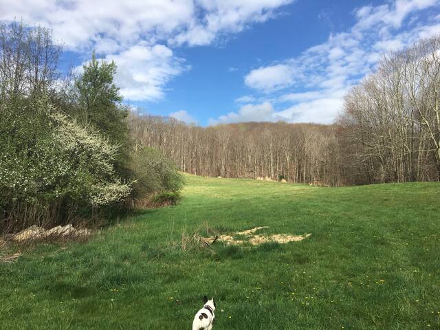 Shawneehaw Outpost Rv Hike Bike Dog Friendly Campers Rvs