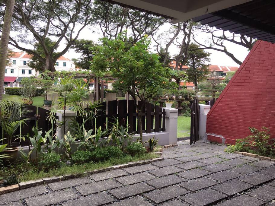 Backyard