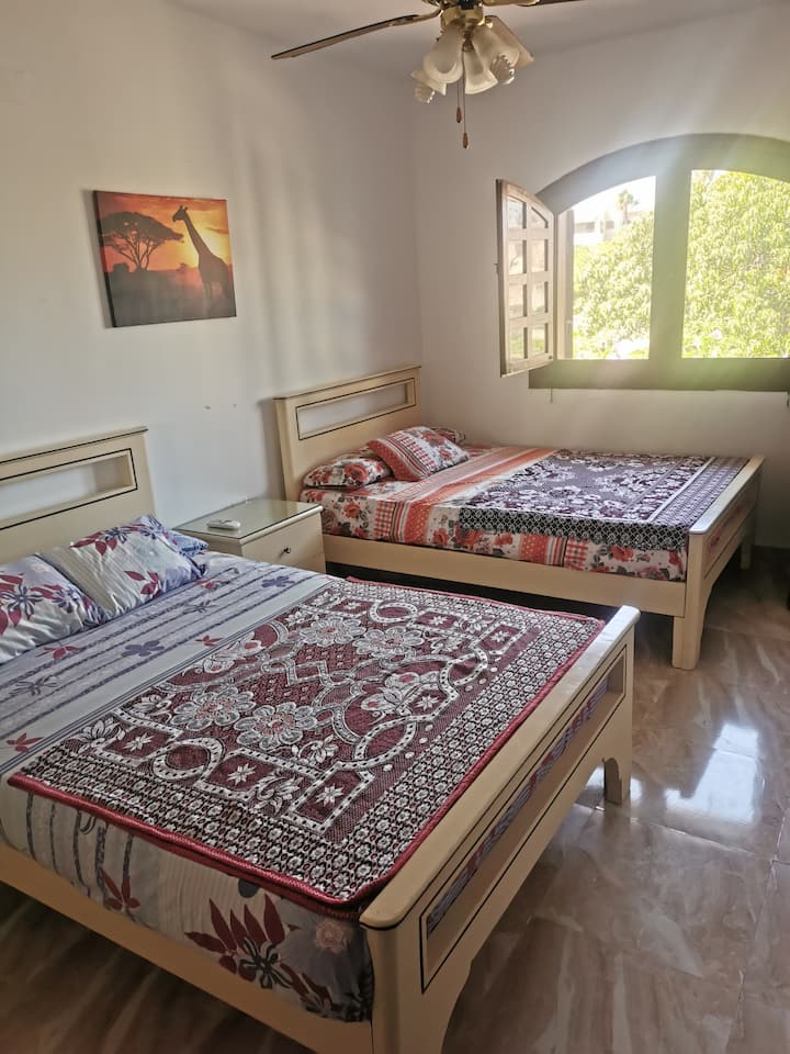 Una de las evaluaciones de nuestros huéspedes sobre la comodidad 

By Zeyad
October 2022

El chalé es precioso, sencillo y tranquilo . Los dueños del lugar son de muy buen gusto y atentos. Separamos mucho del El Cairo Dusha y Nestina
