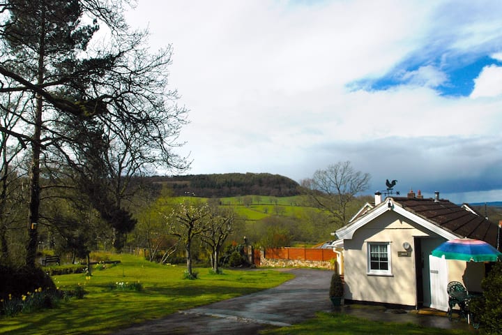 Lake Cottage At South Farm Holiday Cottages - Honiton