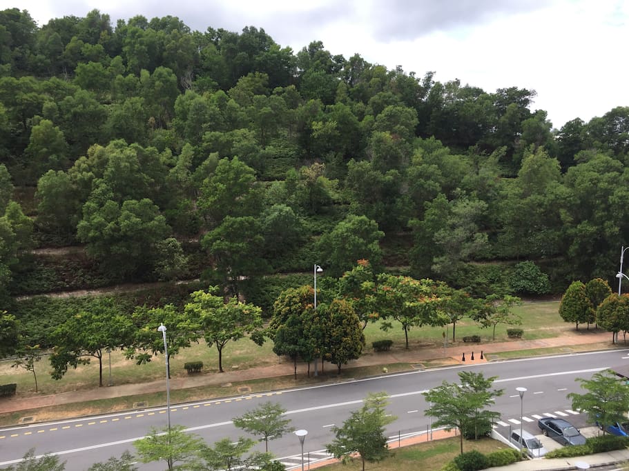 House overlooking a hill