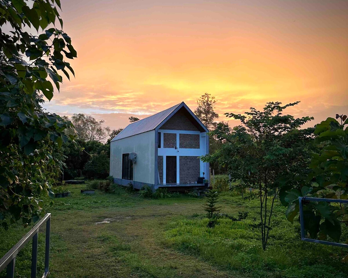 A modern structure is set against a vibrant sunset, surrounded by lush greenery. The exterior features a mix of concrete and wood elements, with large windows reflecting the warm hues of the sky. The tranquil atmosphere is enhanced by the natural landscape.