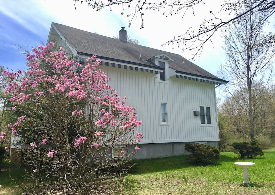 Front of the house in Spring